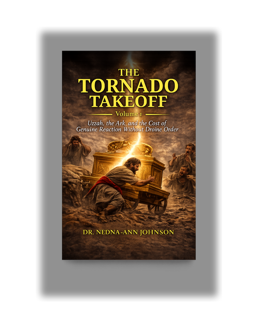 The Tornado Takeoff Volume I: Called vs. Commissioned — A Kingdom Leadership Book